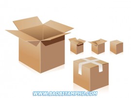 Thùng carton 5 lớp