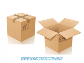 Thùng carton 3 lớp