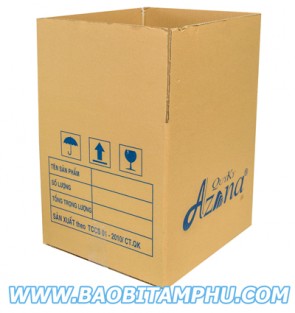 Thùng carton 3 lớp ns1