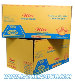 Thùng carton 5 lớp ns3